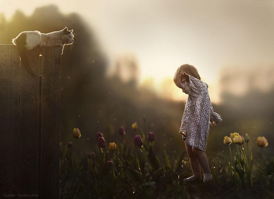 cool-animal-children-photography-Elena-Shumilova-cat