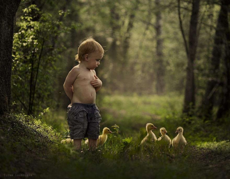 cool-animal-children-photography-Elena-Shumilova-duck