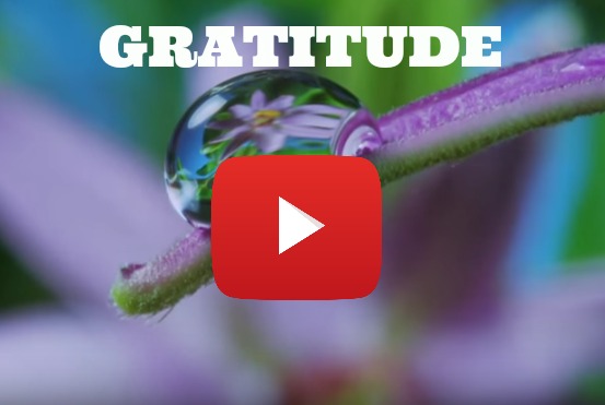 Gratitude Inspirational Video TEDX