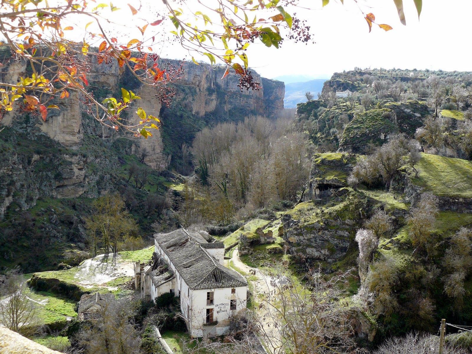 Viva La Vida Wie zitten er achter Viva La Vida? Wij hebben een aantal jaren geleden besloten om met ons gezin op avontuur te gaan in het mooie Andalusië. We waren eerst van plan om voor een jaar te gaan, maar het is zo goed bevallen dat we hier inmiddels al ruim 3,5 jaar met veel plezier wonen. Wij, Jeroen en Ilse-Marie, hebben met onze dochters Elise-Sophie en Ana Rosa een prachtig plekje gevonden in een waanzinnig mooi gebied. We wonen in een mooie oude boerderij met inmiddels een hele dierenfamilie. Wij zijn ontzettend enthousiast over het gebied en delen dit graag met andere mensen. We organiseren het hele jaar door yoga retreats en yoga- & wandelvakanties. Wij vinden het leuk om voor jullie een echt bijzonder programma samen te stellen. Dus niet alleen een retreat met een ochtend- en middagsessie yoga, maar een bijzonder programma, waarbij we prachtige plekken bezoeken, speciale workshops doen en waarbij we je ook handige tools meegeven waar je als je terug gaat naar huis ook echt wat aan hebt.